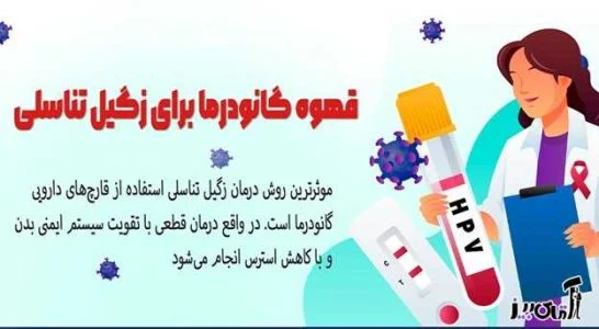 نحوه مصرف قهوه گانودرما برای زگیل تناسلی