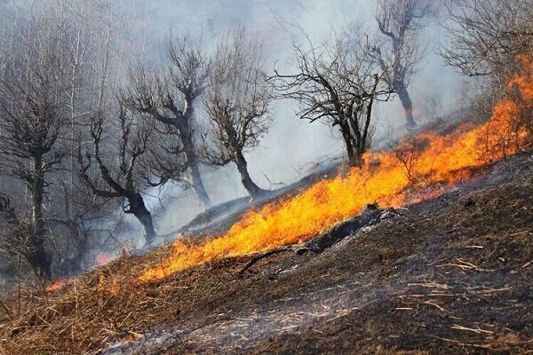 مهار آتش‌سوزی های جنگلی در غرب و جنوب غرب کشور - خبرگزاری گیل 25 | اخبار ایران و جهان