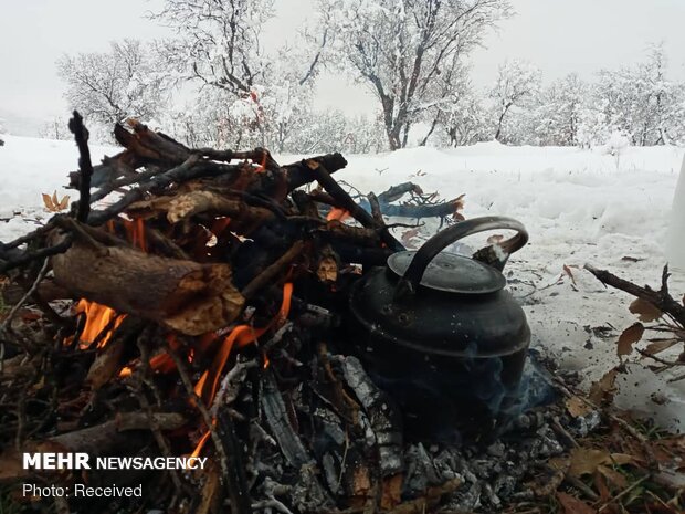 دیدنی های زمستانی خوزستان؛ نگینی پنهان در قلب ایران - خبرگزاری گیل 25 | اخبار ایران و جهان