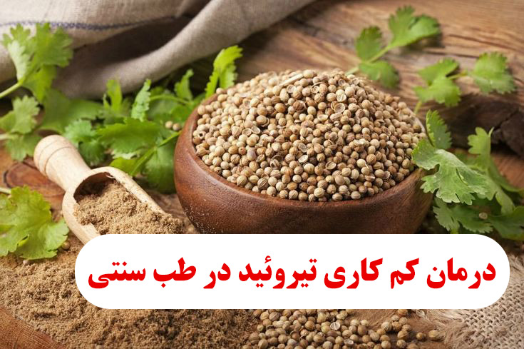 غذاهای مفید برای کم کاری تیروئید در طب سنتی