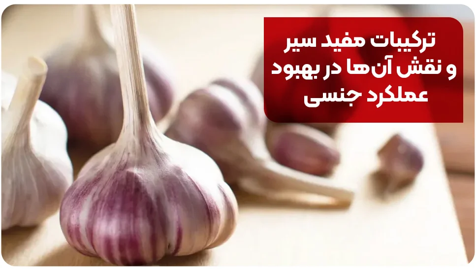 ترکیبات مفید سیر و نقش آن&zwnj;ها در بهبود عملکرد جنسی
