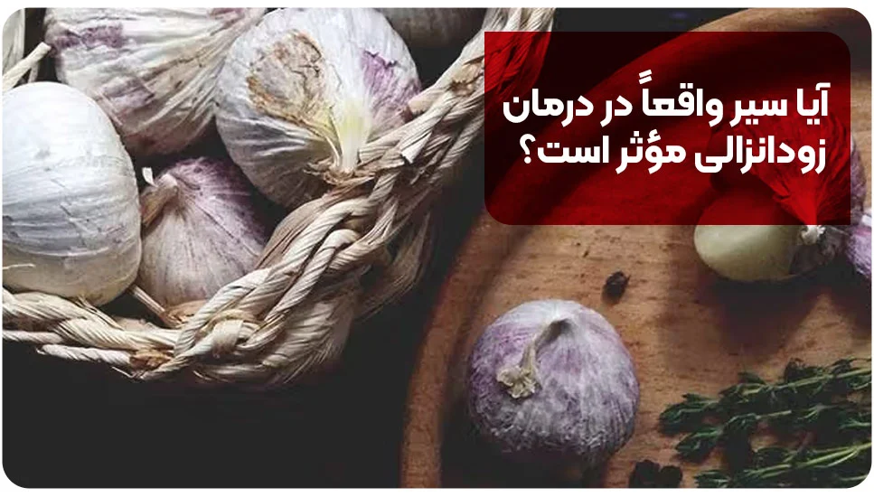 آیا سیر واقعاً در درمان زودانزالی مؤثر است؟