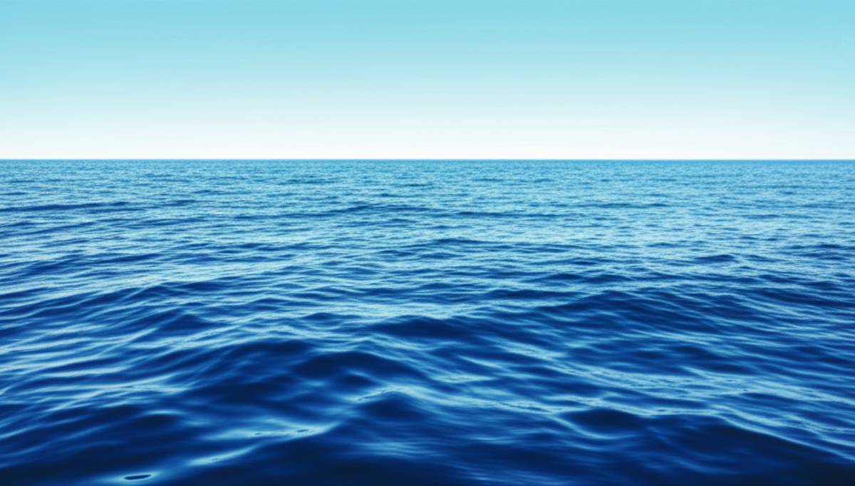 خلاصه کتاب من اقیانوس هستم: یک آبی بیکران | استیسی مک آنلتی